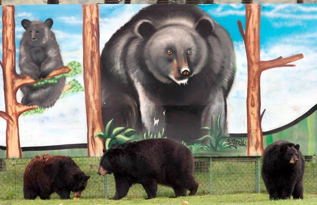 Zumthor S Sideways Light