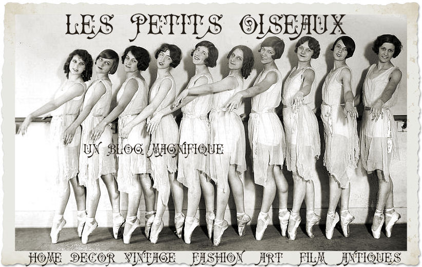 les-petits-oiseaux