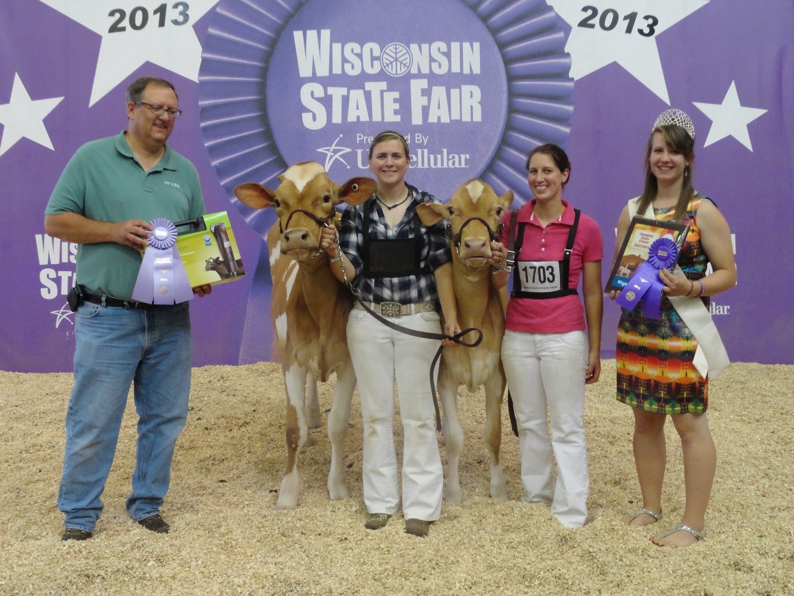 NEWS Wisconsin State Fair Guernsey Show