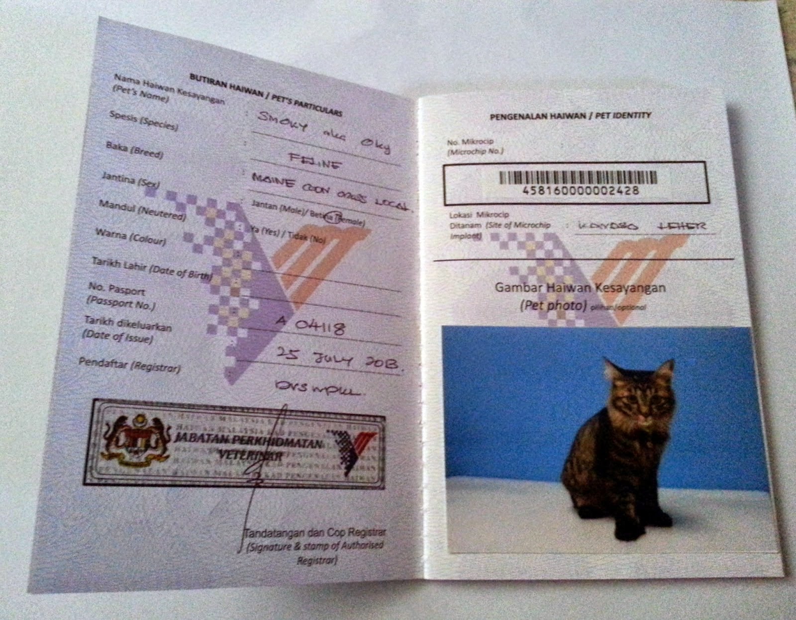 In mission to build a new world! Veterinary Surgeon to be 2014