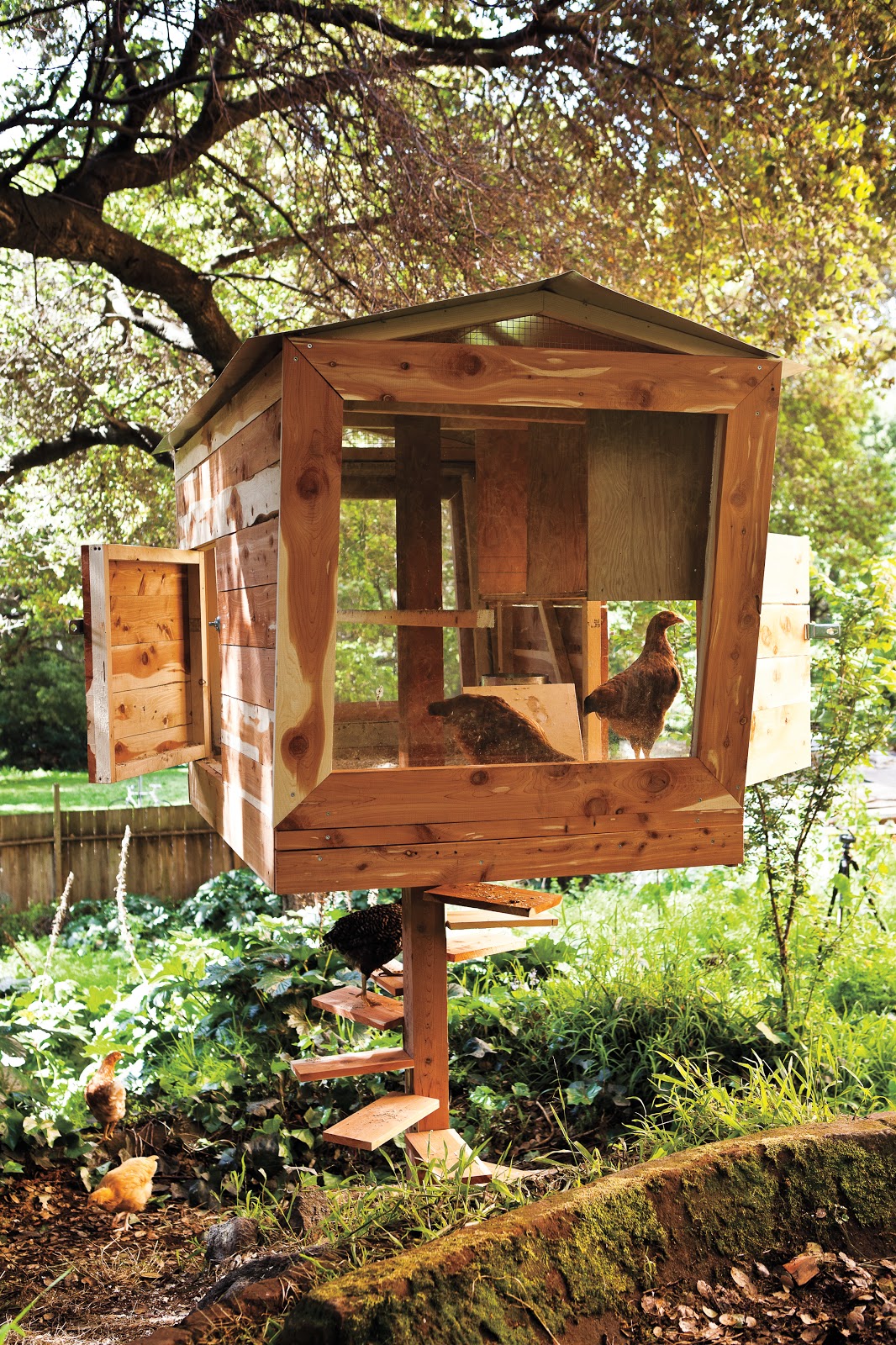 Relaxshacks.com: A VERY Funky Chicken Coop as a Tiny House ...