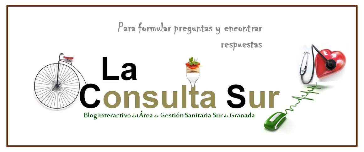 La consulta Sur