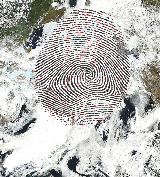 human fingerprint