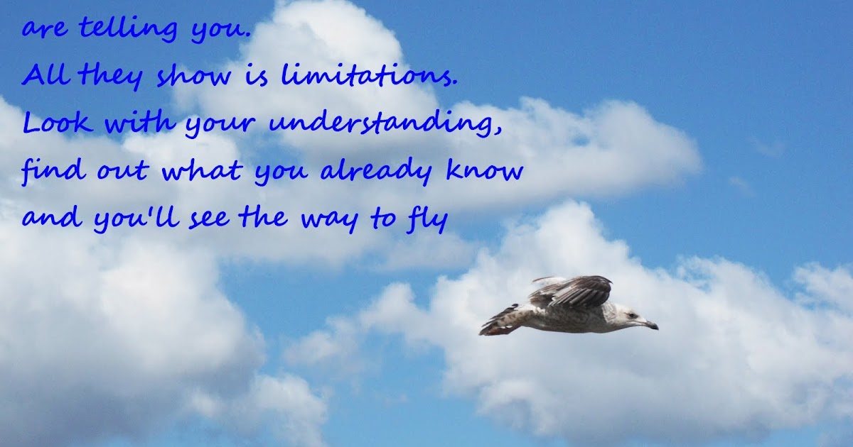 67 Not Out: A Seagull Shows Us The Way To Fly