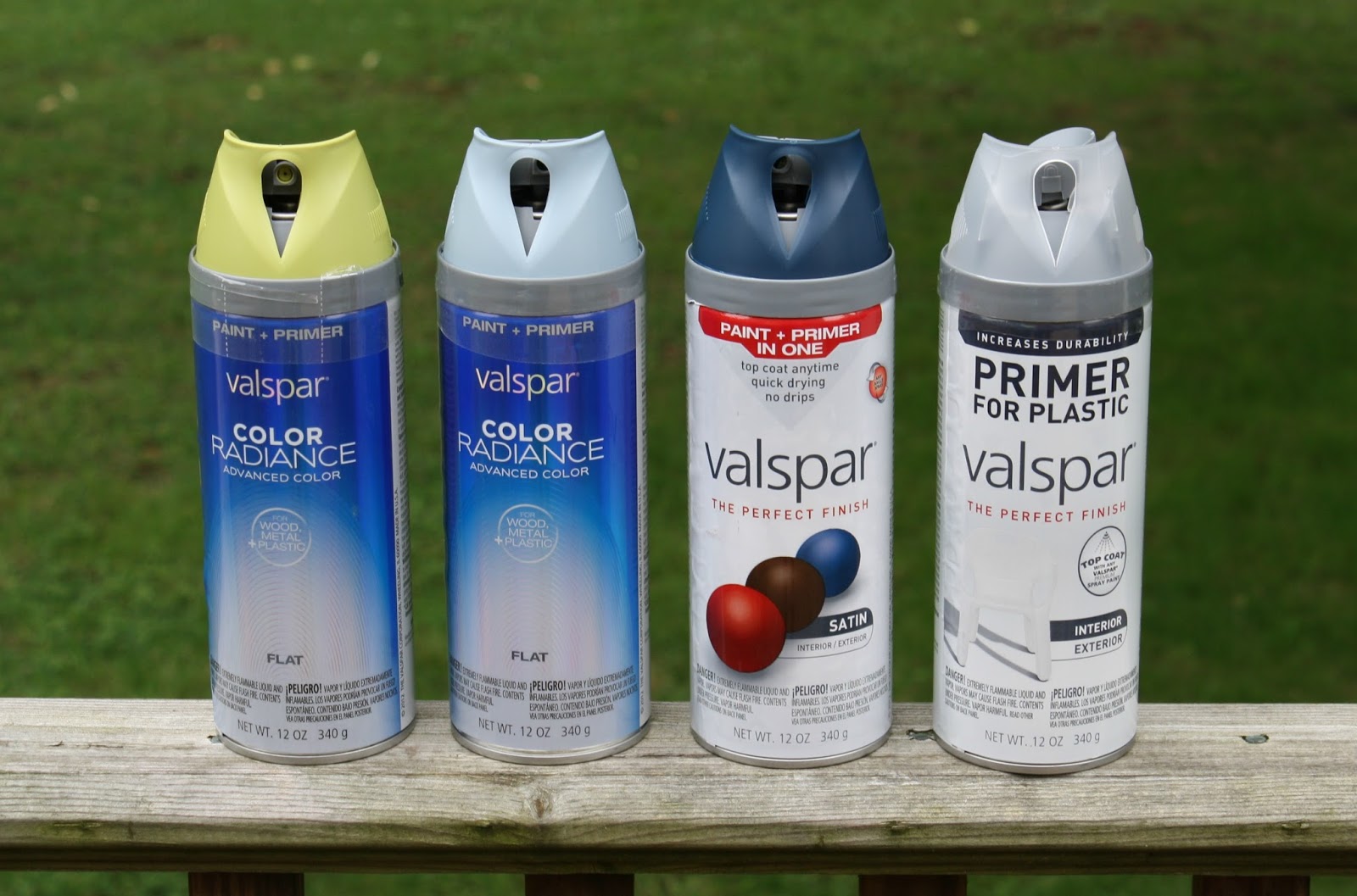 live a little wilder the painted playset