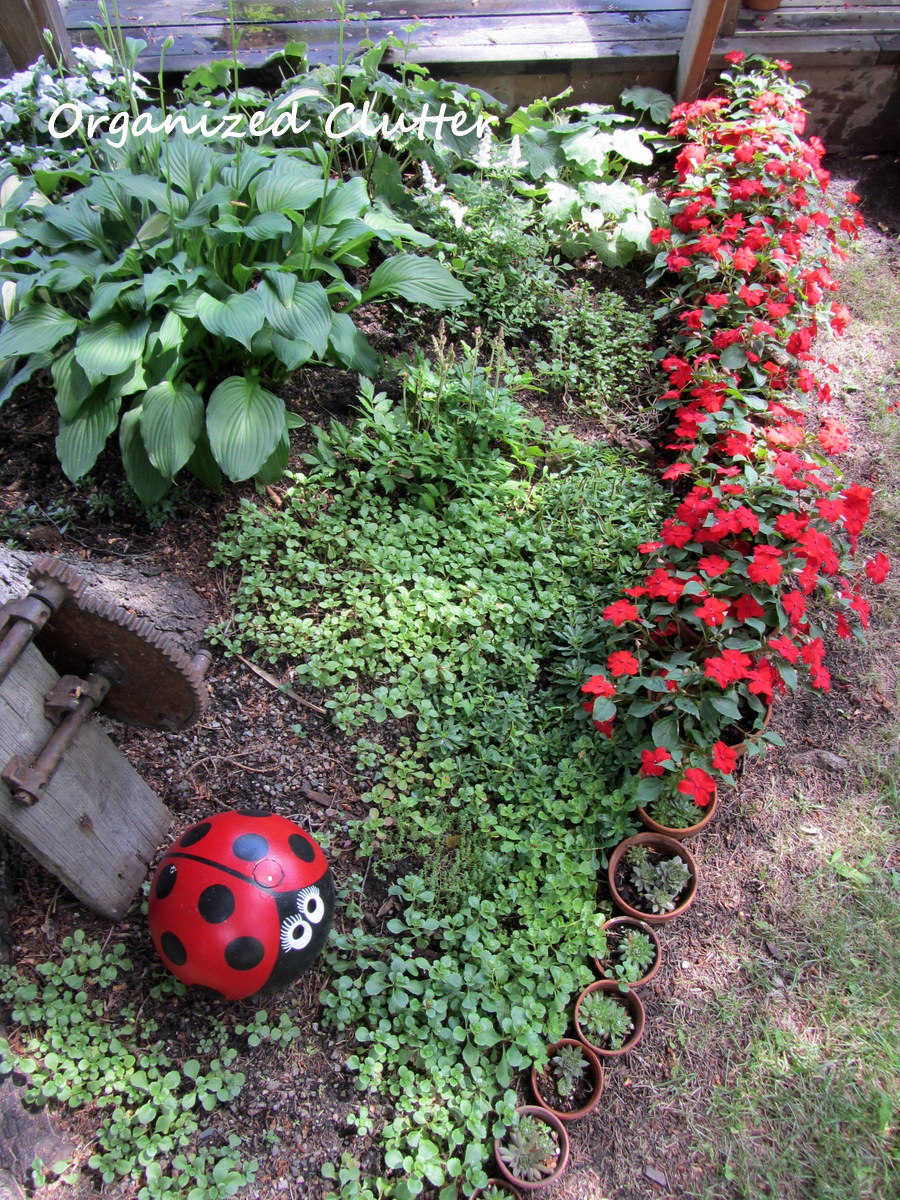 Planting Under a Spruce Tree Another Terra Cotta Pot Edging