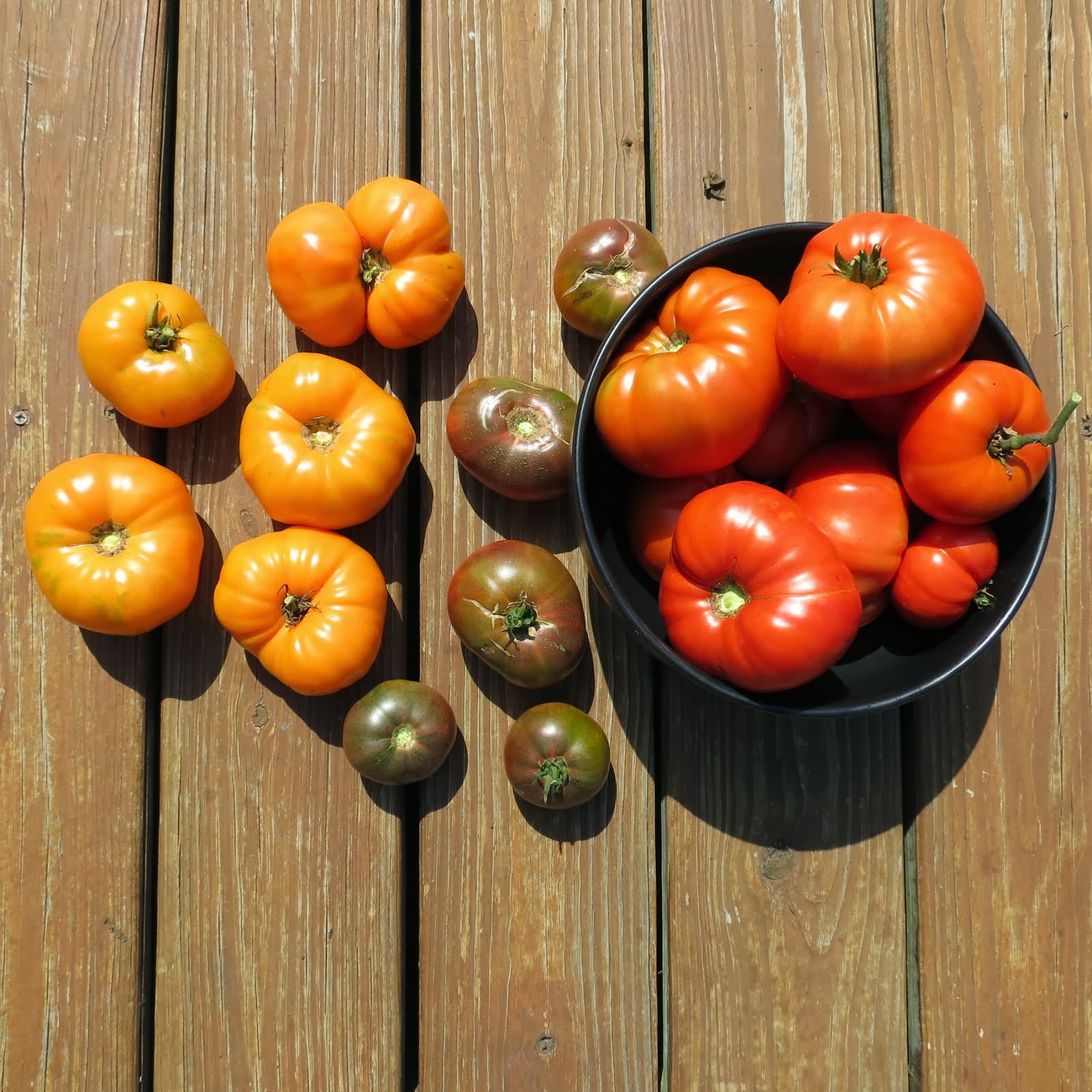 Garden Heirloom Tomatoes