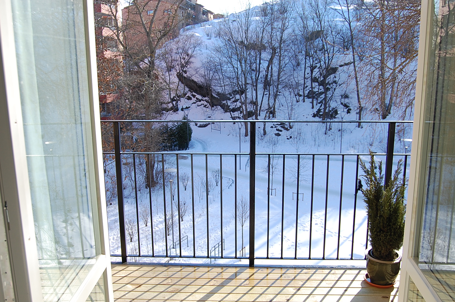 Sunny day apartment