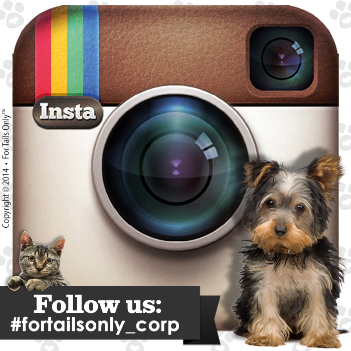 Hash It With Us On Instagram