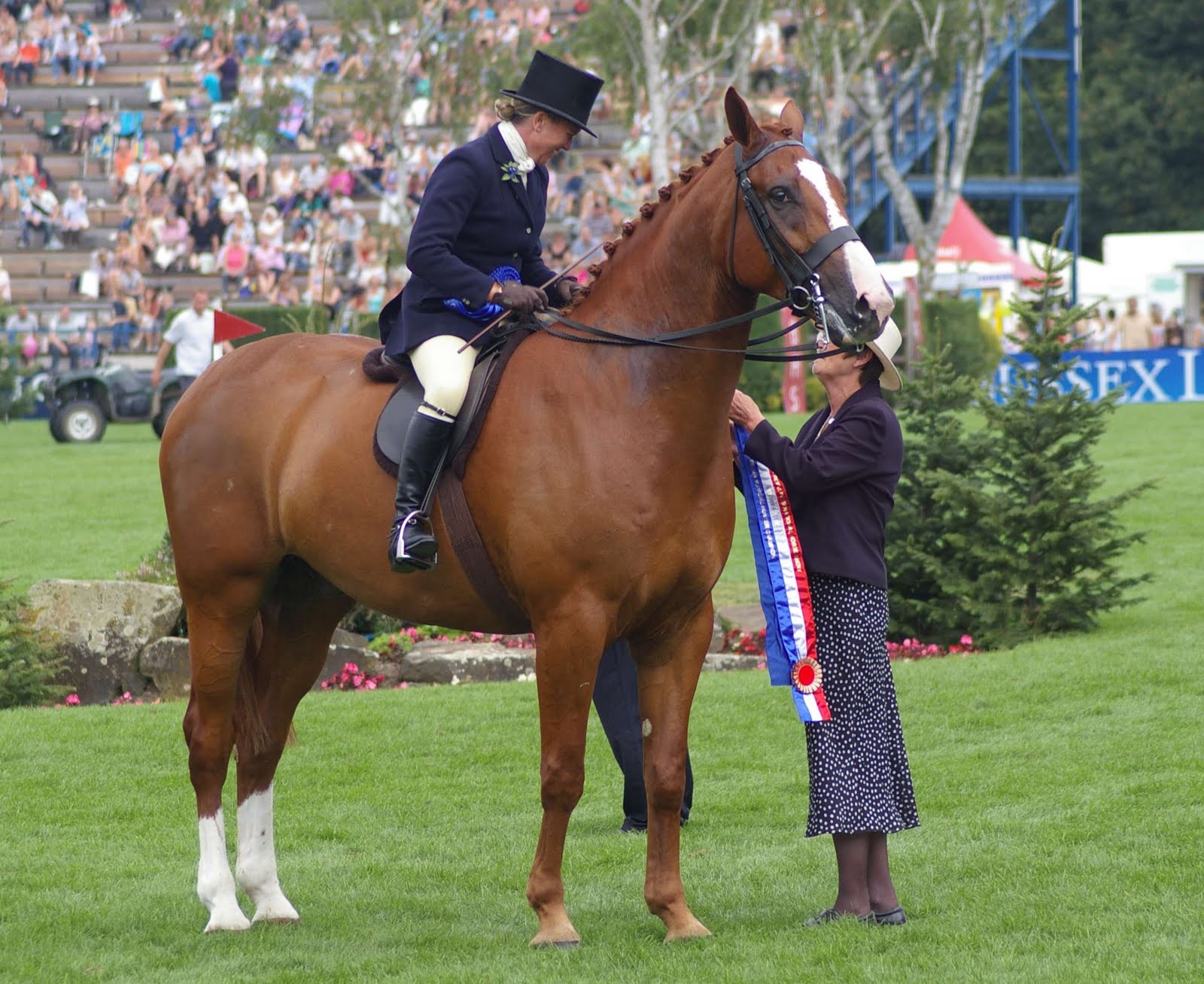 The Briar Rose Gate Hickstead Hunters Classes