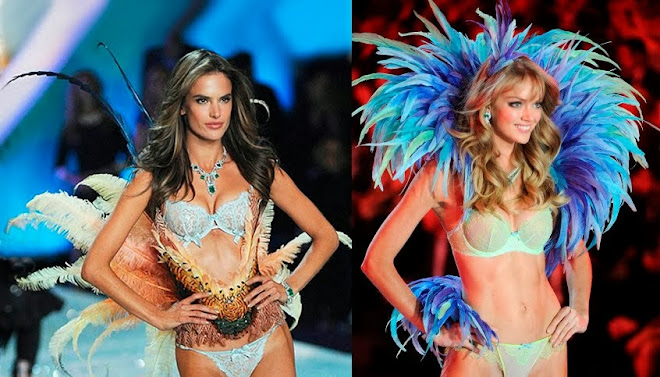 VS 2014 - feathers