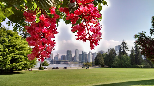 Stanley Park verão Vancouver