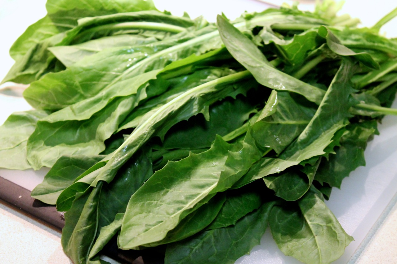Greens dandelion wild eat safe eating should start why shutterstock found Cook In / Dine Out: Smoky-Sweet Braised Dandelion Greens