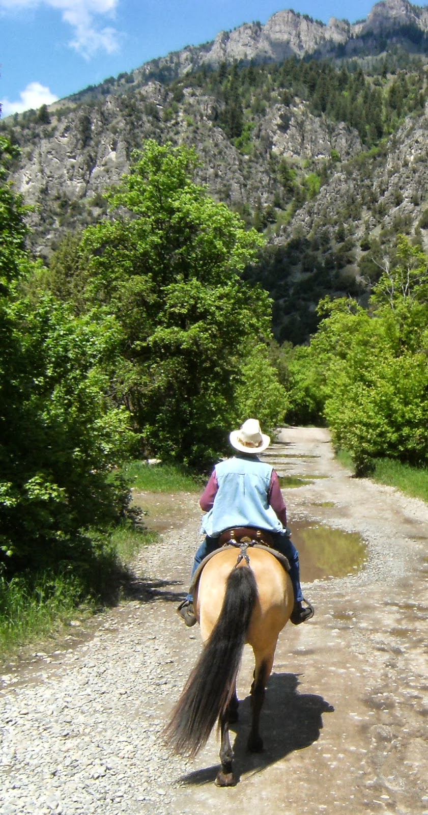 Dream Packer Trail Adventures Blacksmith Fork Canyon, Utah