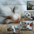 Wordless Wednesday #48 : Tinny Dalam Memori