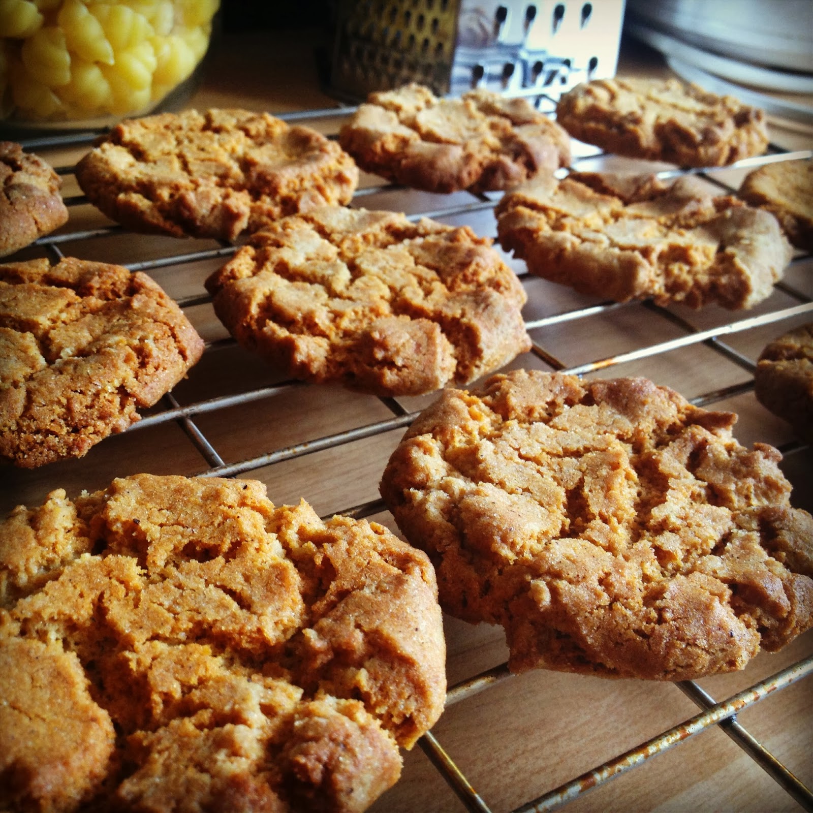 Vegan Vox Vegan Recipe of the Week Ginger Snaps