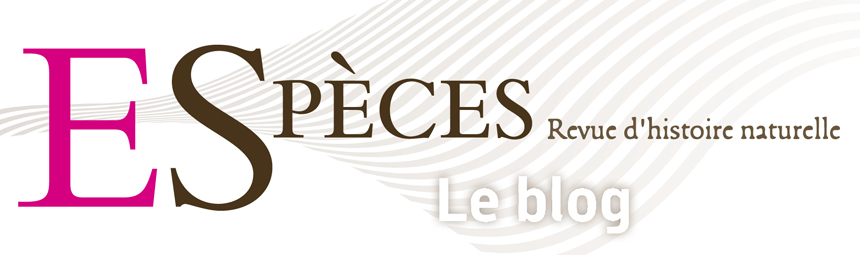 Espèces - le blog