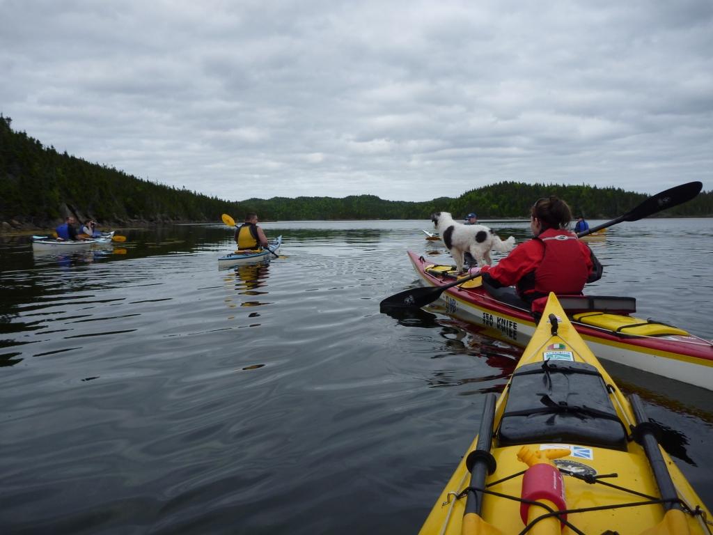 Newfoundland Sea Kayaking Cottle's Island, Bay of Exploits