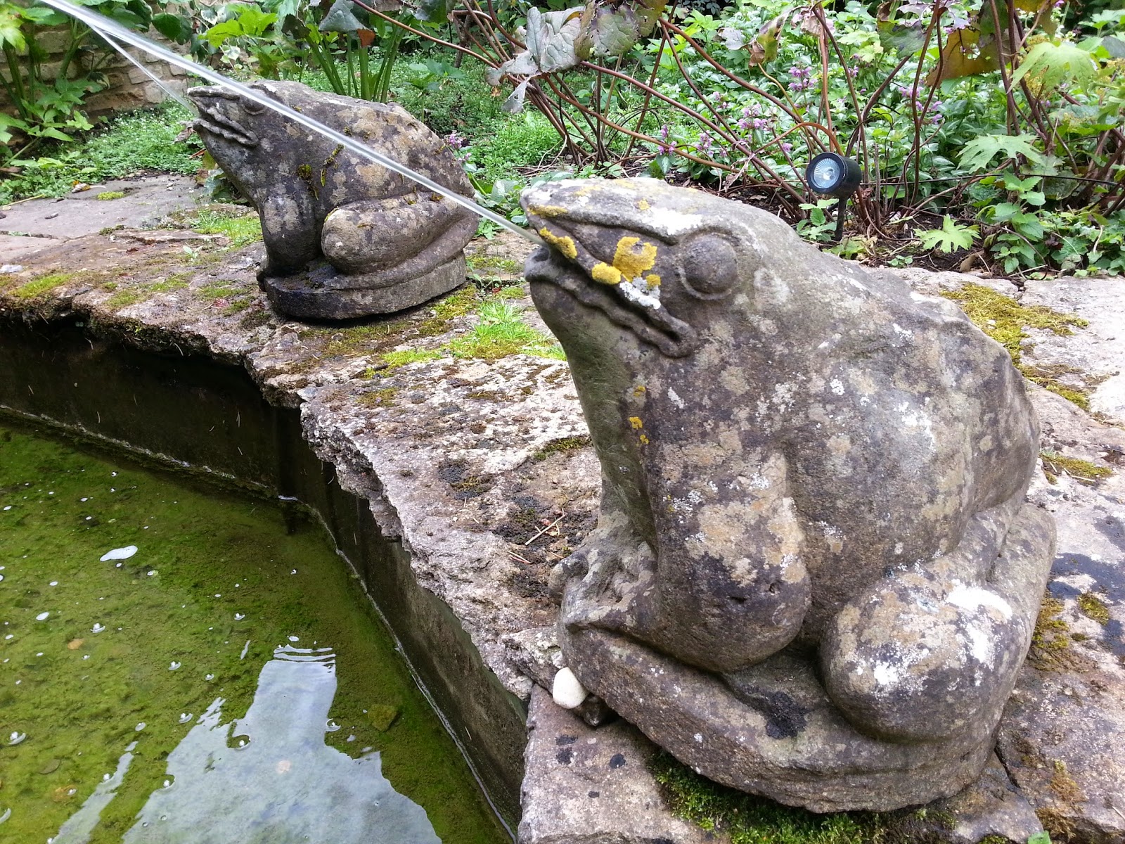 Gartenwelten Ein Reisetagebuch Barnsley House Barnsley
