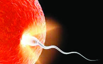 IVF Success Rates: A Realistic View Necessary