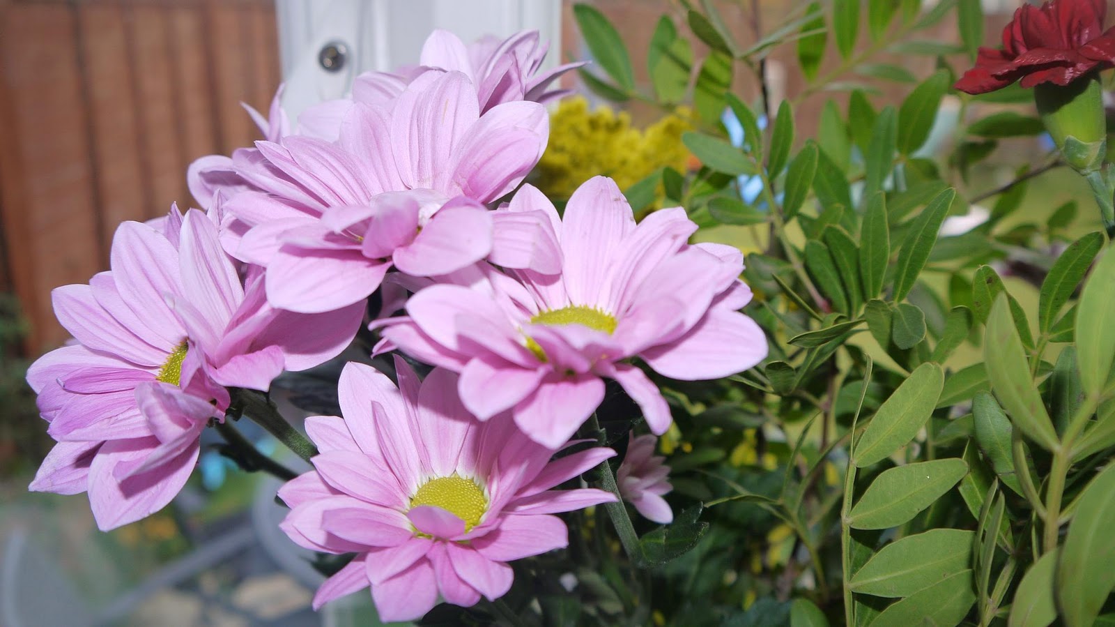 Inside the Wendy House The Art of Giving Flowers