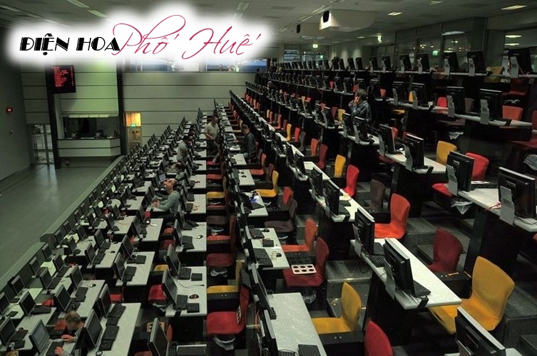 [Image: Ghe-tham-cho-hoa-tuoi-khong-lo-o-Ha-Lan-5.jpg]