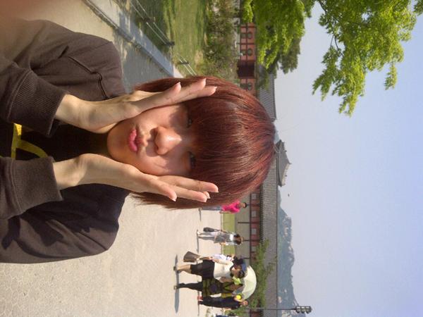 gambar cherry belle gambar cherry Belle