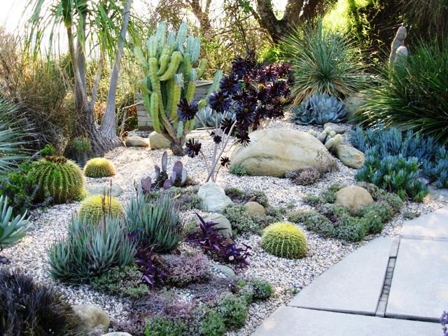 home and garden succulent garden home and garden succulent garden