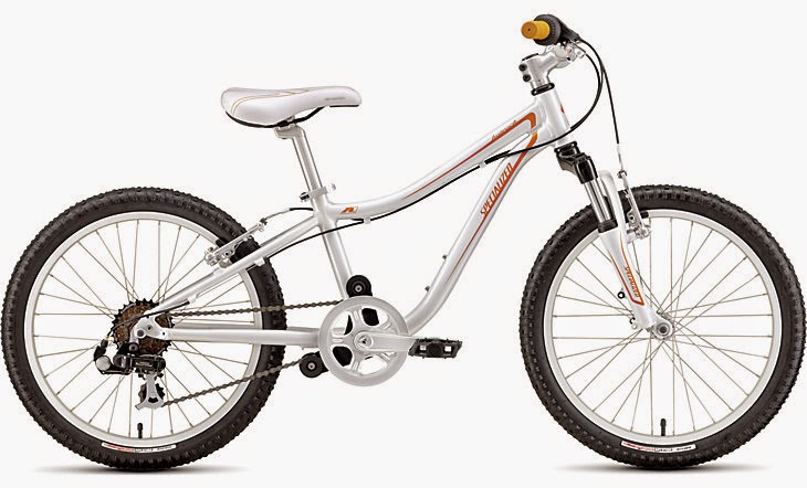 specialized hotrock orange