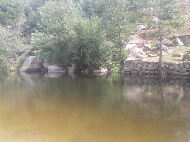 Água do Rio Dão Água do Rio Dão