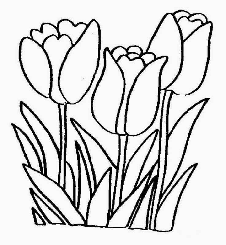 Download Spring Flowers Coloring Pages Realistic - Colorings.net