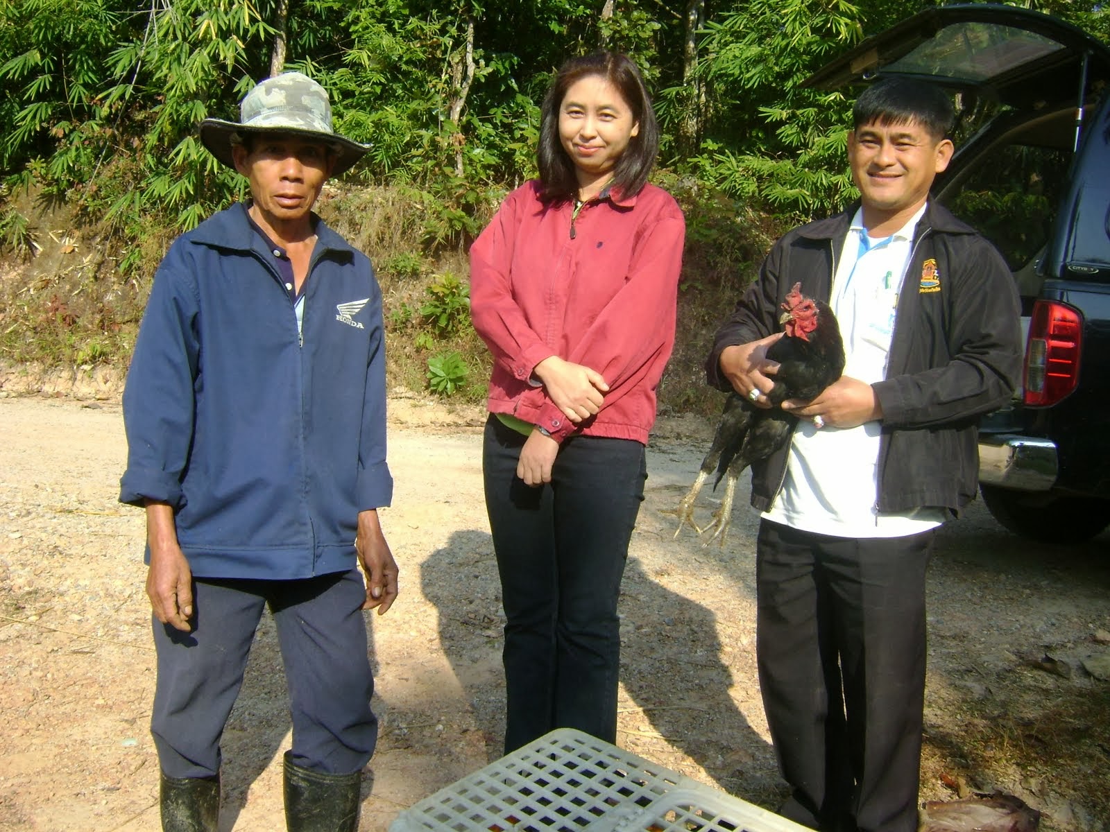 ลุงหมั้น ขายไก่ประดู่หางดำให้โครงการพื้นที่สูง