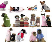 roupas para cachorrinhos