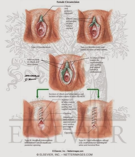 klitoris bilder tinderx klitoris bilder tinderx