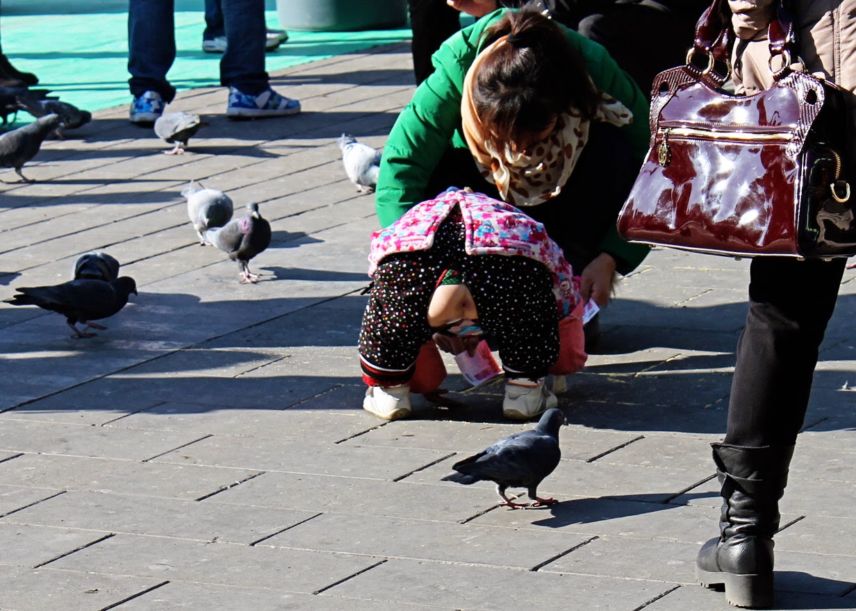 A guide to phase 2 outdoor dining: rules, etiquette & advice from an The DeSmet Family Worldwide: Temple Fair at Ditan Park