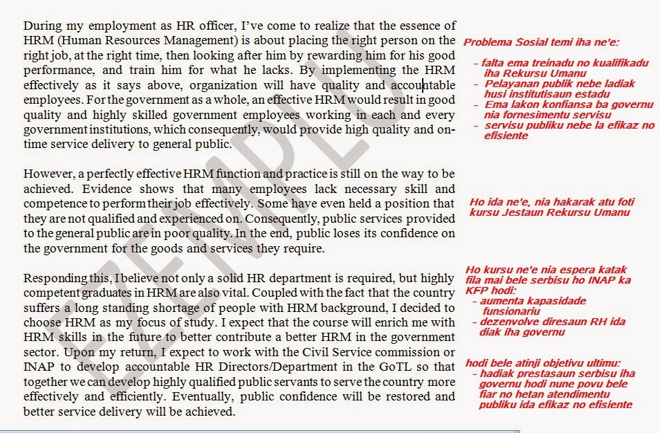 Saida mak essay 03 image