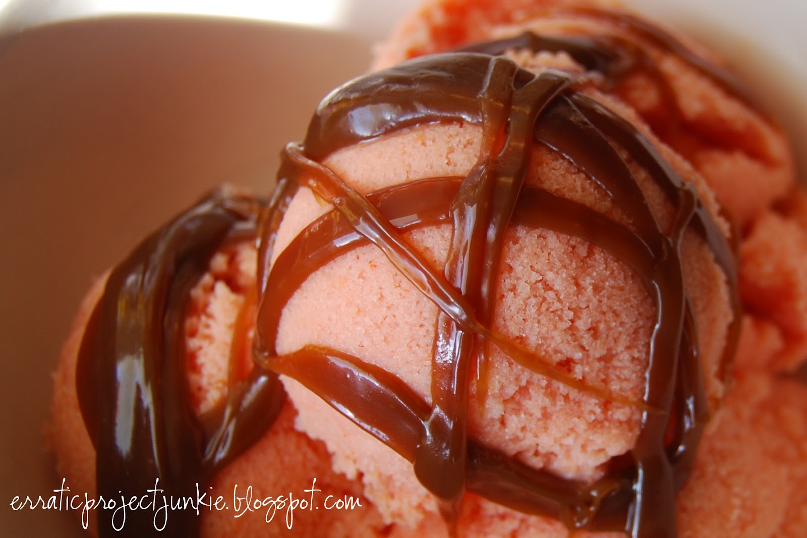 Erratic Project Junkie Watermelon Gelato