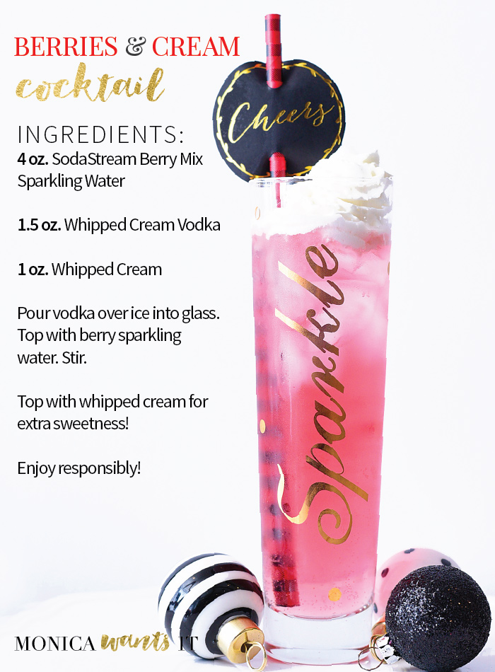 SodaStream Power Holiday Cocktail Recipes Monica Wants It