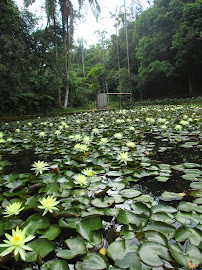 Jardim Botânico SP