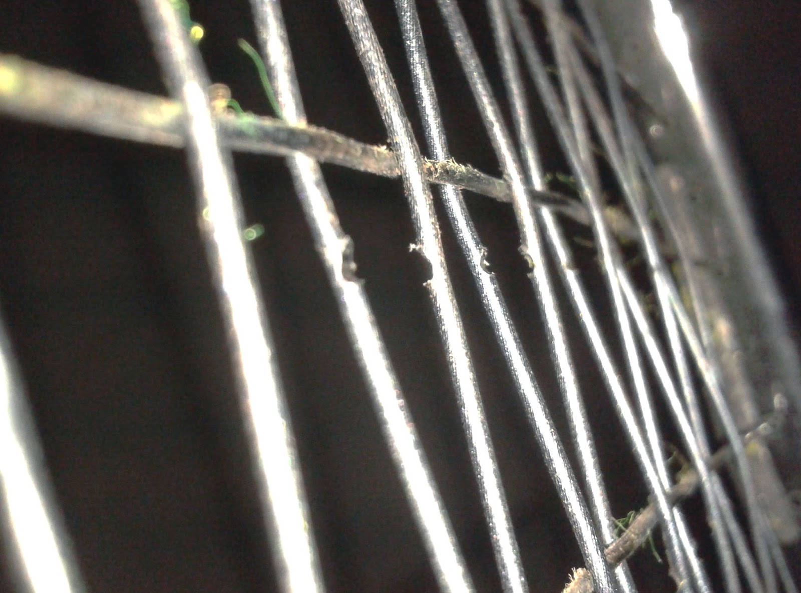 Unorthodox Stringing July 2013