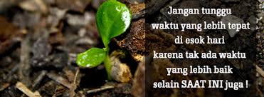 Berbagai Kisah Motivasi Kisah Dua Bibit Tanaman