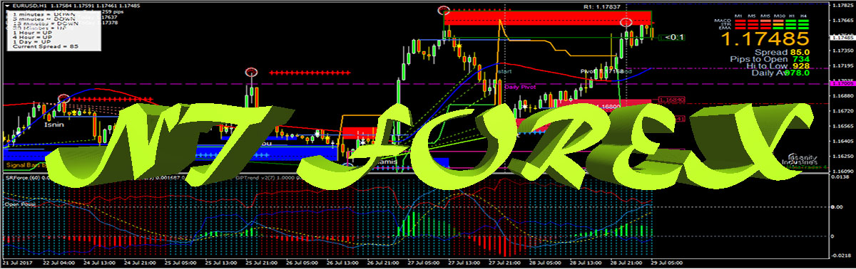 NT FOREX