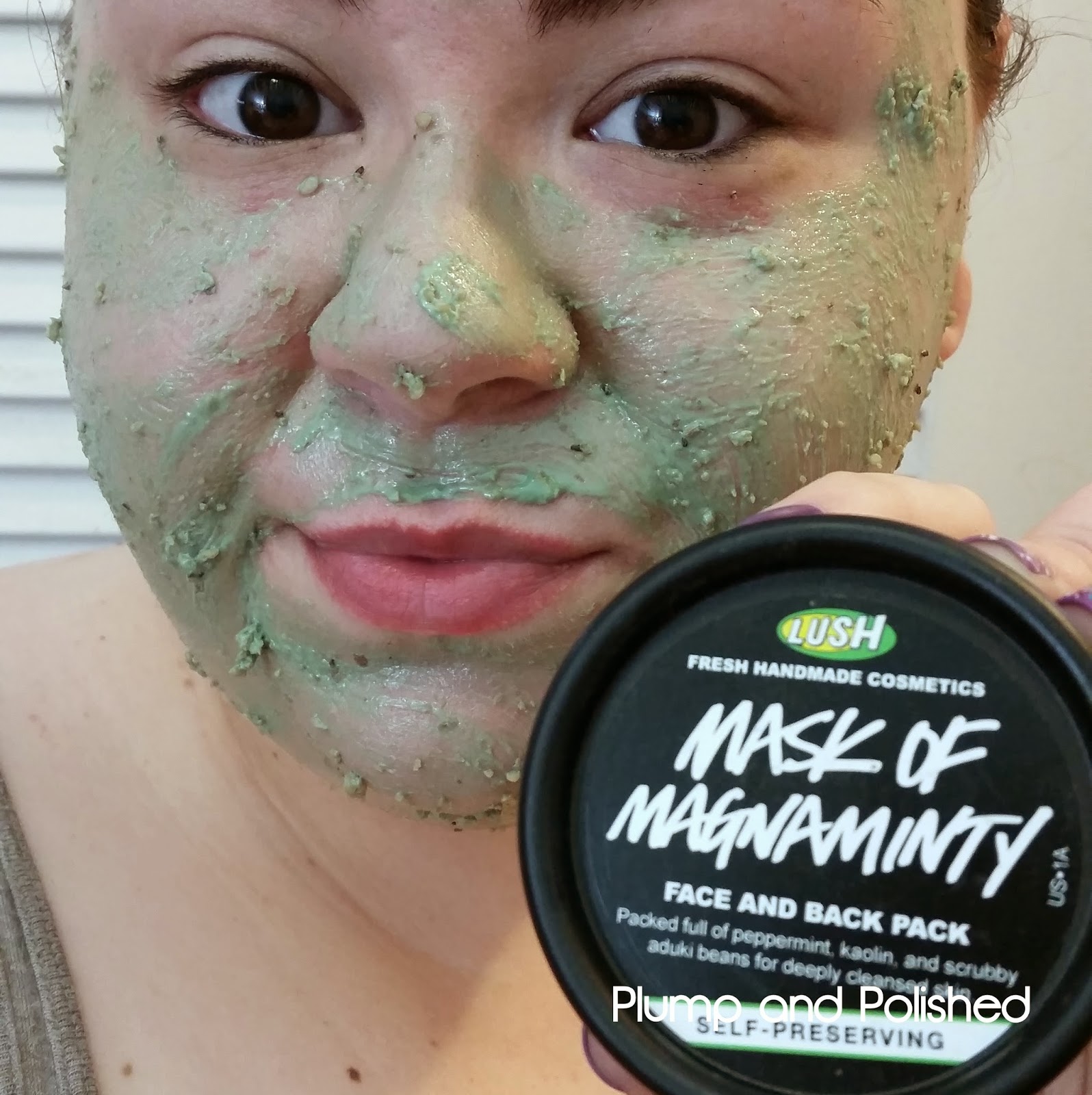 Plump and Polished Lush Cosmetics Self Preserving Mask of Magnaminty