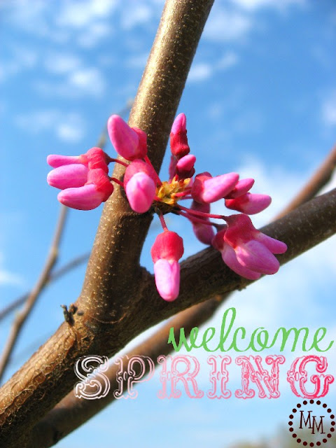 welcome+spring