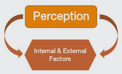 factors influencing perception