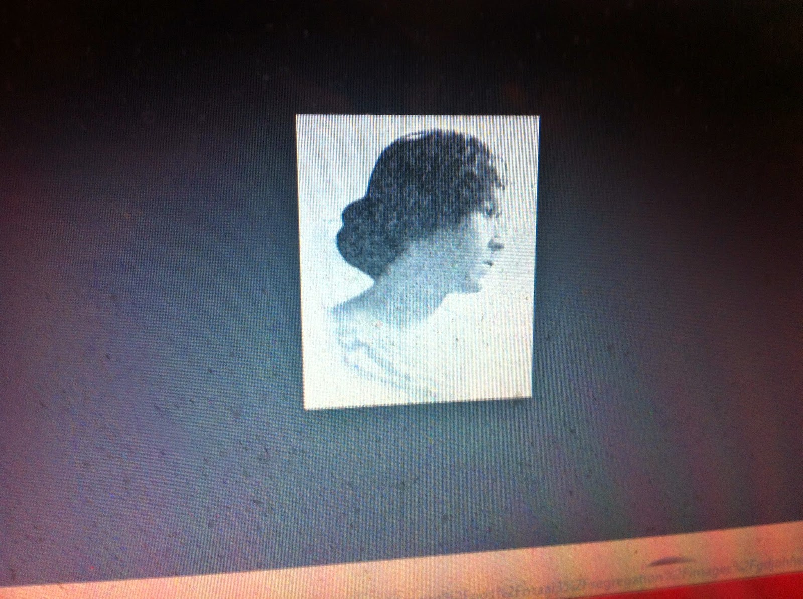 THE BLACK SOCIAL HISTORY BLACK SOCIAL HISTORY AFRICAN AMERICAN