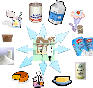 Los Lacteos Buenas Noticias El Diario Montanes