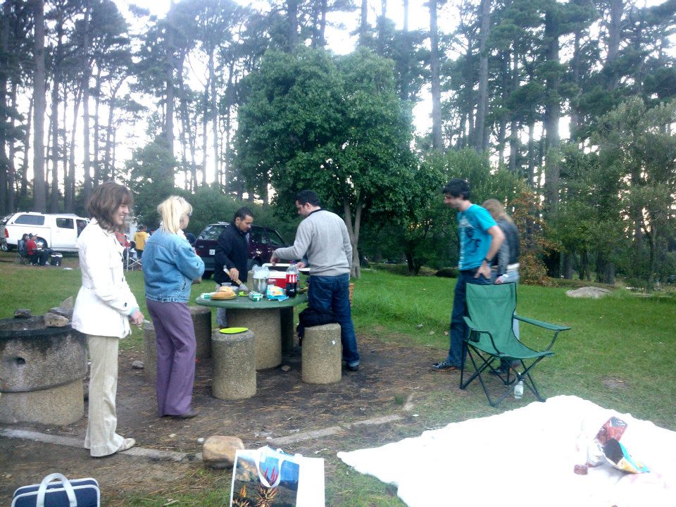 Here we go Cape Town! Newlands Forest Picnic Area