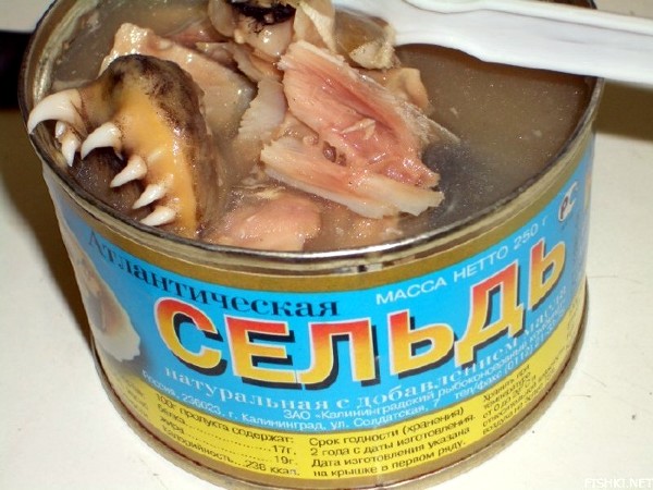 wtf-russian-fish-can.jpg