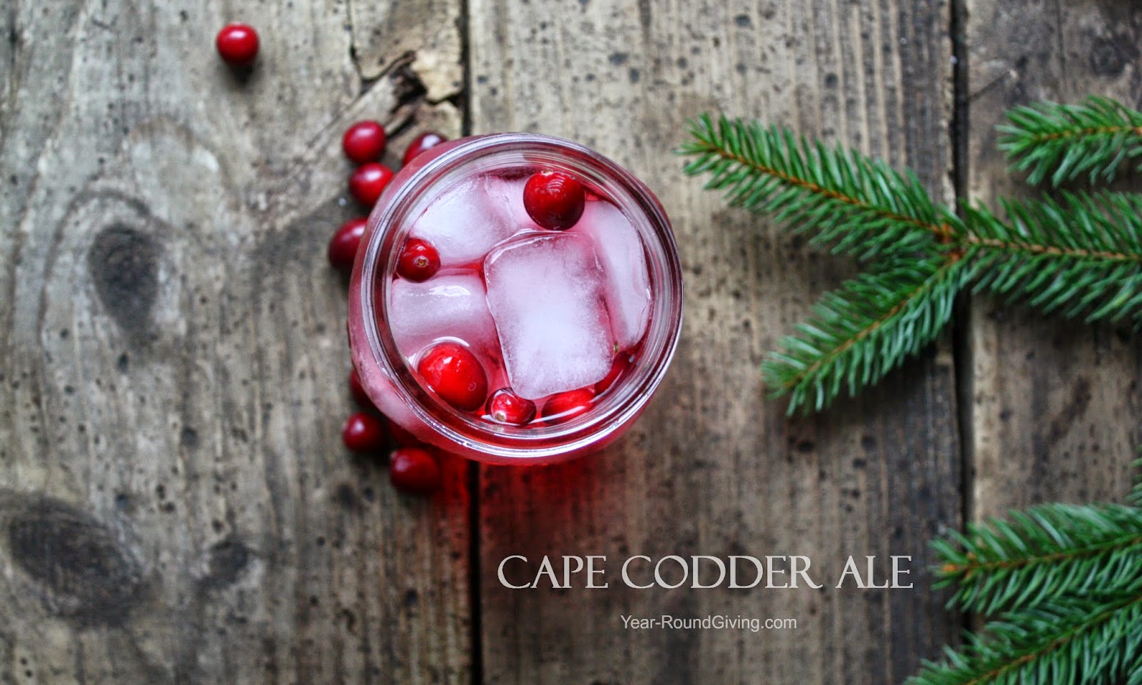 Cape Codder Ale Cocktail. A must have at my holiday cocktail party. 